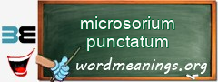 WordMeaning blackboard for microsorium punctatum